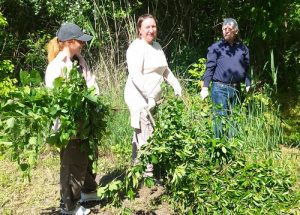 Thumbnail for the post titled: Співробітники відділу термогазодинаміки енергетичних установок працювали на експериментальній базі, чистили територію, наводили порядок, як у довоєнний час. Наука повинна спиратись на експериментальні результати, а їх треба одержувати своєчасно. Тримаємось, працюємо.
